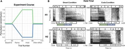 Temporal malleability to auditory feedback perturbation is modulated by rhythmic abilities and auditory acuity
